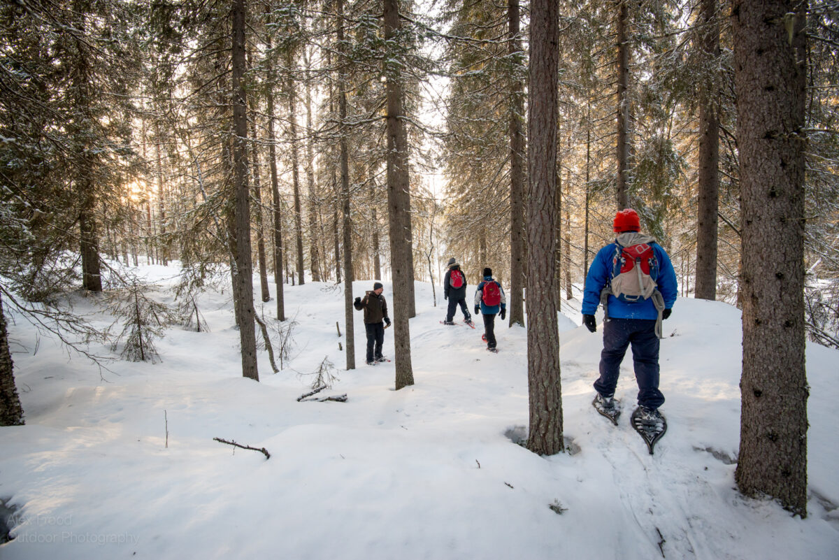 Snowshoe trek Alex Frood Finalnd Winter